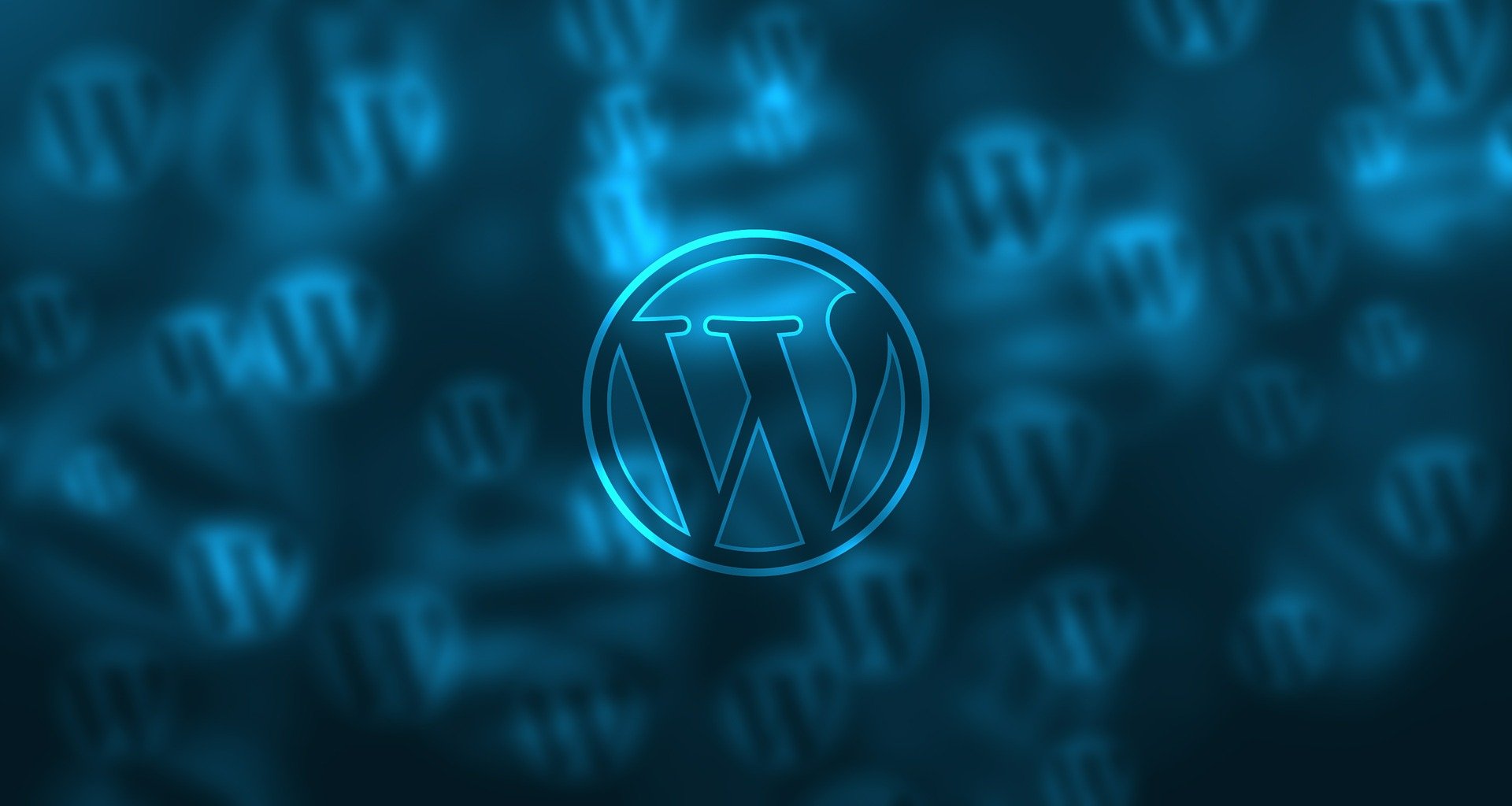 Skilled WordPress Developer for Your Business Site